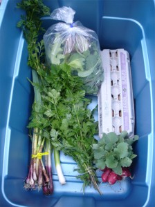 Week 4 Full Share Box