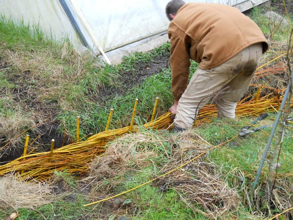 Derek weaving with his wet bum