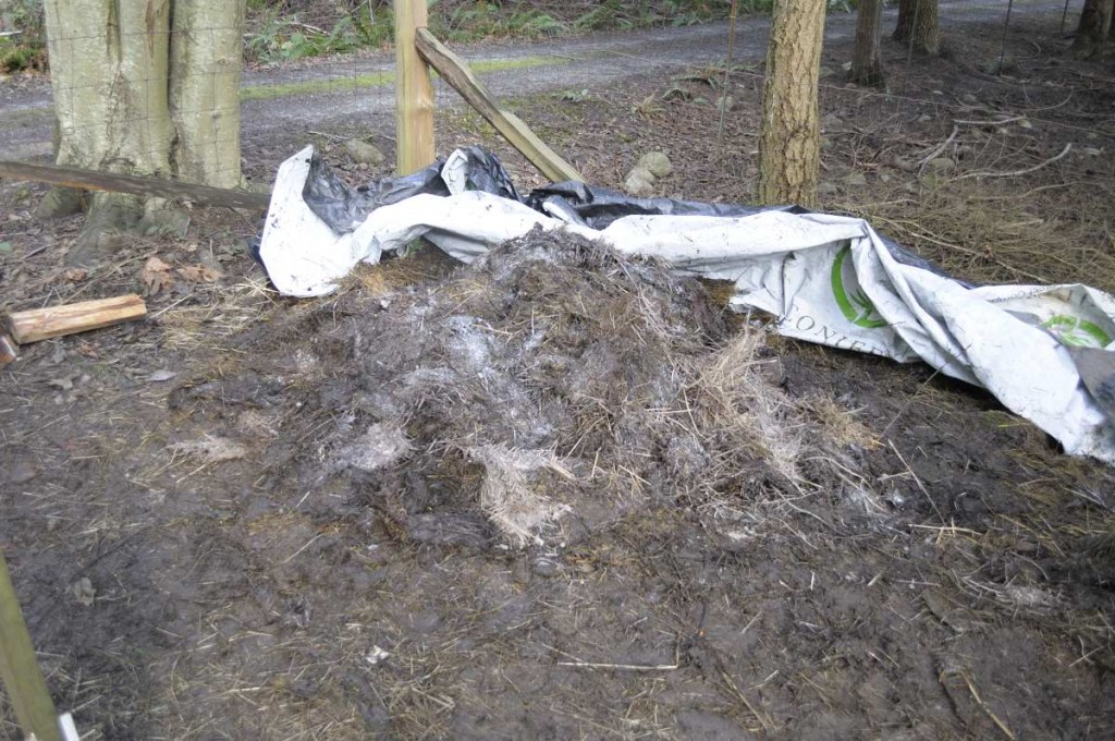 Pile reduced
