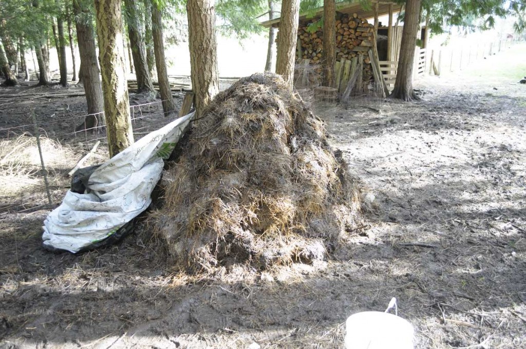 The new pile