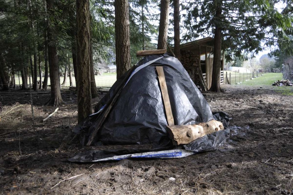 Covered pile