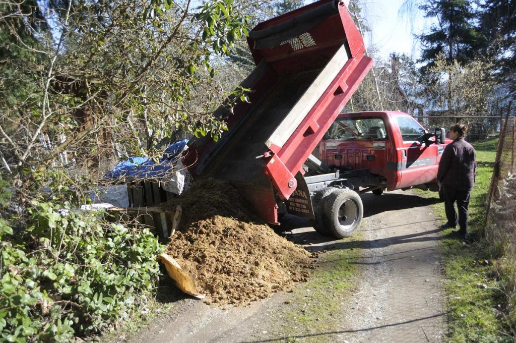 Dumped!